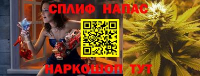 мдпв Моздок