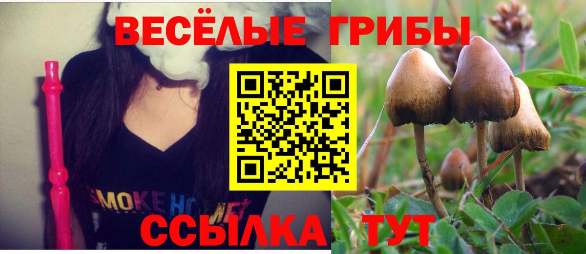 Галлюциногенные грибы мицелий Салават