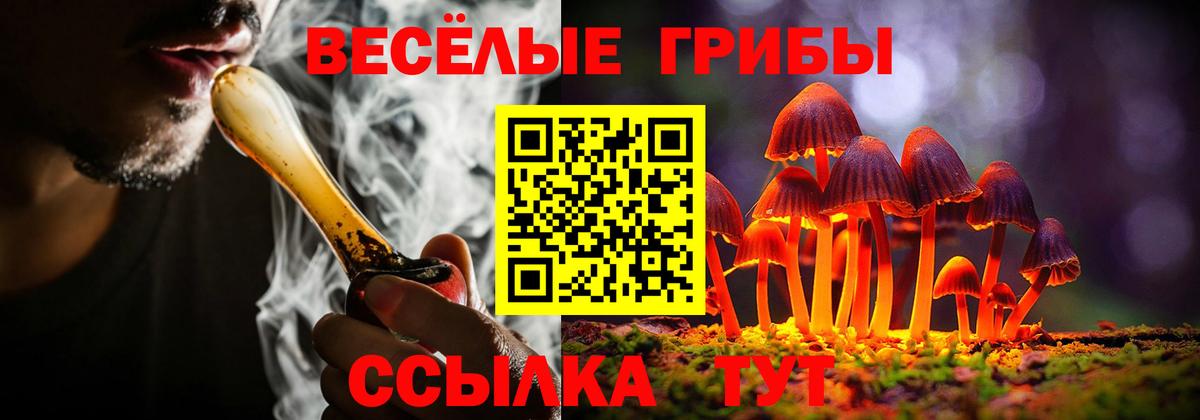 Псилоцибиновые грибы ЛСД  Псилоцибиновые грибы мицелий  Вход с VPN  Салават 